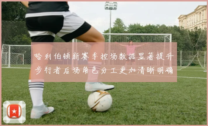 哈利伯顿新赛季控场数据显著提升步行者后场角色分工更加清晰明确