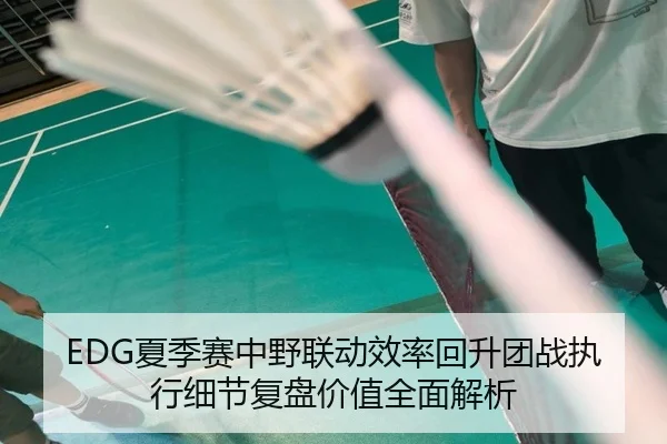 EDG夏季赛中野联动效率回升团战执行细节复盘价值全面解析